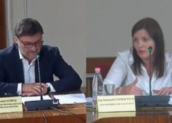 “Se ç’a do flas, e di unë”, plas sherri mes Alibeajt dhe Felajt