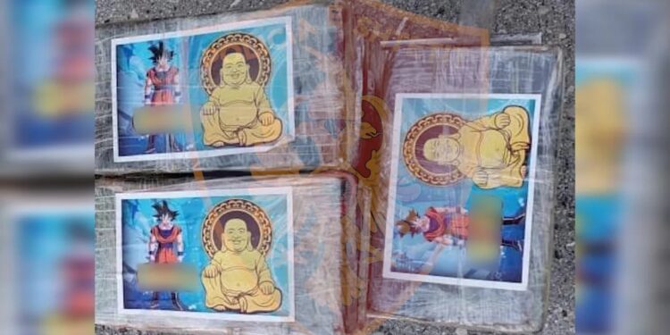 45.5 kg k*kainë në kontenierin me mish nga Brazili, pranga administratorit dhe agjentit doganor