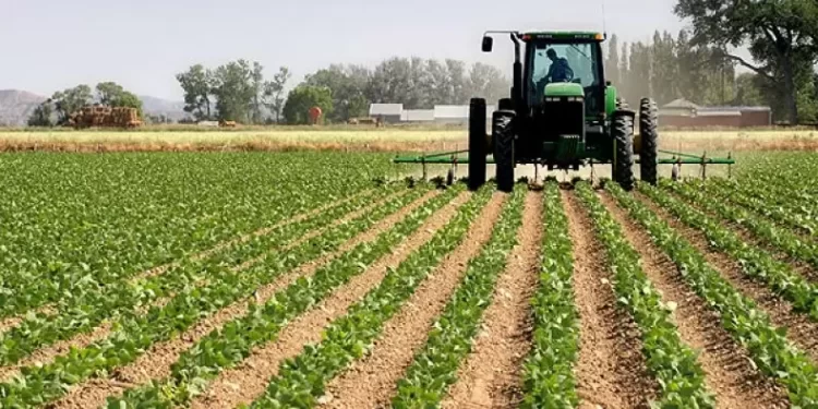 Mbi 18 mijë fermerë marrin naftën brenda dy muajve