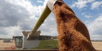 Programi Botëror i Ushqimit: Bota drejt katastrofës ushqimore