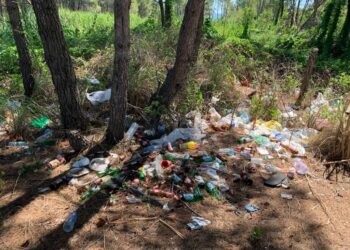 Ju nuk meritoni as plazh publik, as park, as diell…!