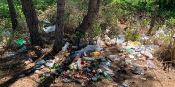 Ju nuk meritoni as plazh publik, as park, as diell…!