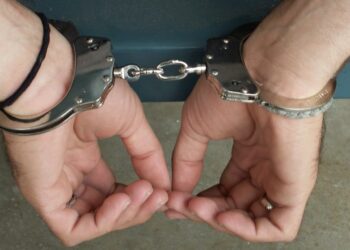 Arrestohet në Lezhë Drejtori i Zonave të Mbrojtura dhe tre vartësit e tij