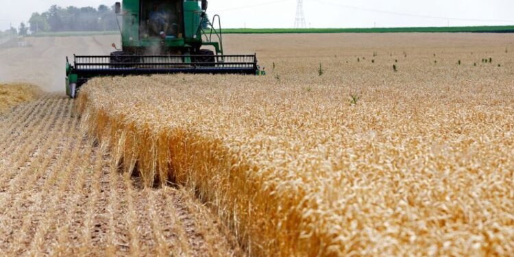 Marrëveshja me Rusinë, ja kur do largohen anijet me grurë