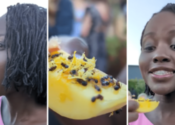 “Është vërtet e mirë!”, aktorja shfaqet duke ngrënë milingona (VIDEO)