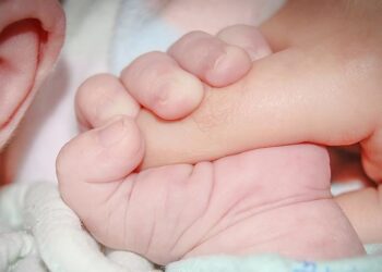 Indi/Foshnja lind me katër këmbë dhe katër krahë