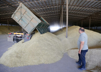 Zelensky: Deri në 60 milionë tonë drithë mund të mbeten në Ukrainë deri në vjeshtë