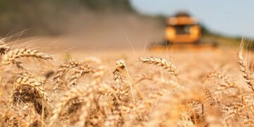 Gjermania planifikon të transportojë me trena drithërat ukrainase