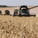 Rusia nis dërgimin e grurit nga Ukraina