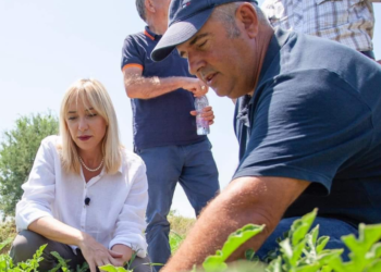 Deputeti i PD-së akuza ministres Krifca: Bujqësia në mjerim, parcelat me prodhim po kalben