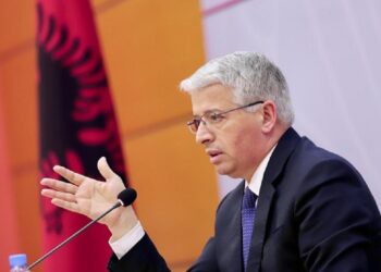 Lleshaj: Oligarkët kanë në dorë pasurinë kombëtare