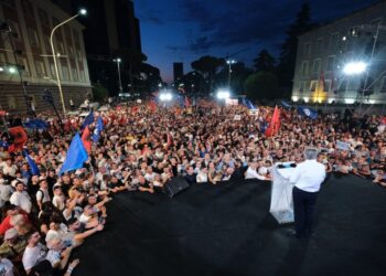 10 konkluzione për protestën e PD