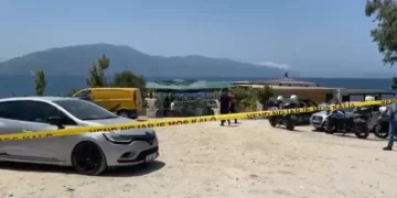 Erdhi nga Anglia për tu “sqaruar” me të vëllain, zbardhet sherri për plazhin në Radhimë