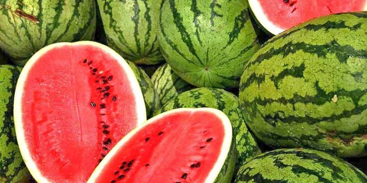 Braçe thirrje pronarëve të hoteleve dhe lokaleve: Blini shalqi te bujku, tregtarët ju grabisin katër herë më shtrenjtë