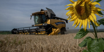 Ukraina rrit parashikimin e korrjes së drithërave