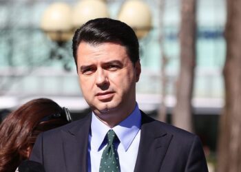 Sulmi kibernetik i Iranit, reagon Basha