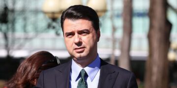 Sulmi kibernetik i Iranit, reagon Basha