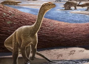 Dinozauri më i vjetër i Afrikës gjendet në Zimbabve