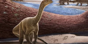 Dinozauri më i vjetër i Afrikës gjendet në Zimbabve