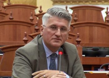 Unë deputeti i qytetarëve apo i partisë?!