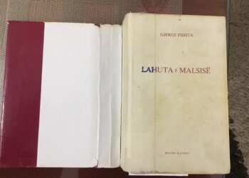 Lahuta e Malësisë, zgjim i ndërgjegjes kombëtare