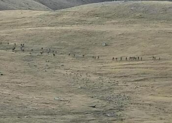 L*fta mes Armenisë dhe Azerbajxhanit, Rusia hidhet në veprim për të negociuar