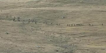 L*fta mes Armenisë dhe Azerbajxhanit, Rusia hidhet në veprim për të negociuar