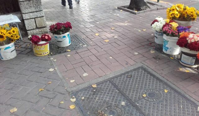 Kevin, 11-vjeçari që frymëzoi Shqipërinë! Shet lule në trotuar për librat e shkollës