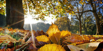 Dita nis me kthjellime dhe reshje të pakta në zonat veriore, ja si parashikohen temperaturat