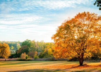 Kthjellime dhe vranësira, njihuni me parashikimin e motit për sot
