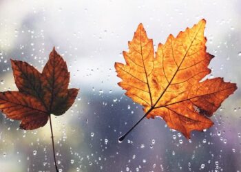 Reshje shiu e ulje e temperaturave për nesër