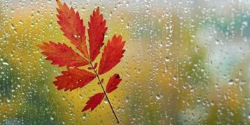 Moti merr kthesën e papritur, nesër priten reshje shiu