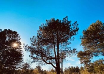 Mot i kthjellët dhe rritje temperaturash për nesër