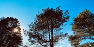 Mot i kthjellët dhe rritje temperaturash për nesër