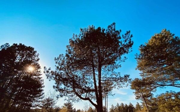 Mot i kthjellët dhe rritje temperaturash për nesër