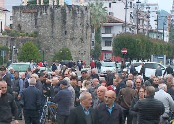 Çmimet e karburanteve/PD në protestë në Elbasan, fiken automjetet