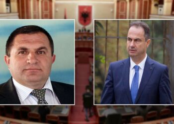 Merr vendin e Boçit në Parlament, Qani Xhafa: Përgjegjësi e shumëfishtë, ai është personalitet i rëndësishëm