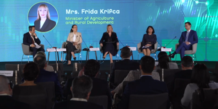 Ministrja Krifca: 14% rritje të buxhetit për përballimin e ndryshimeve klimatike