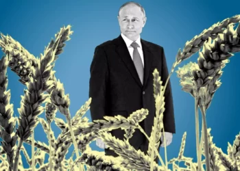 Pakistani do të importojë 30.000 ton grurë rus