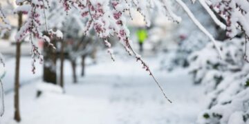 Moti për sot/Diell dhe temperatura të ulëta