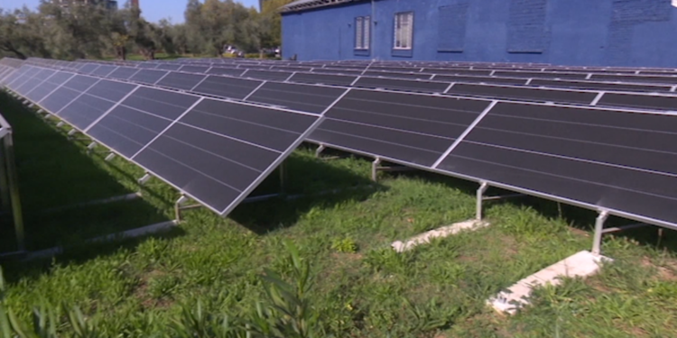 Mbi 500 aplikime për panele diellore në 4 ditë