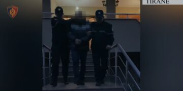 Degradon sherri në familje për pronat, xhaxhai kërcënonte nipin se do ta vr*ste