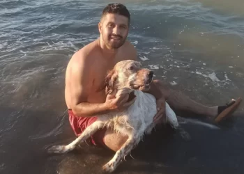 Turqi/Qeni vret pronarin me armë zjarri, si ndodhi tragjedia