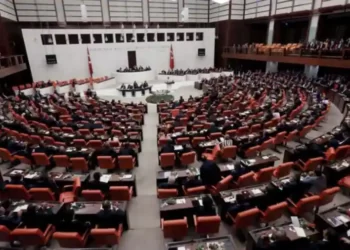 Përleshje në Parlamentin turk, deputeti i opozitës përfundon në spital (VIDEO)