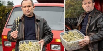 Habit shqiptari në Angli: Më arrestuan sepse më kapën me çaj mali, menduan se ishte drogë