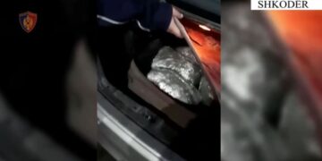 Me valixhe me drogë drejt Malit të Zi, arrestohen 3 të rinj në Shkodër