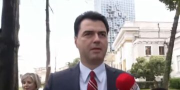 Zgjedhjet e 14 Majit, Basha: Do të bëj fushatë në të gjithë Shqipërinë