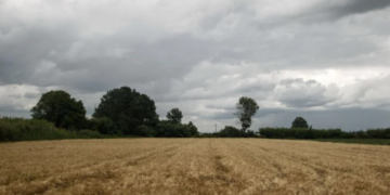Gjendet i vdekur një 41 vjeçar shqiptar në Greqi