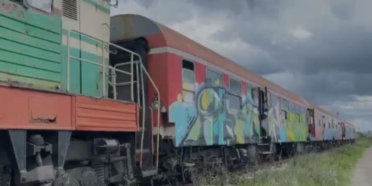 Treni i linjës Shkodër-Laç përplas të moshuarën në Lezhë
