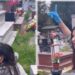 Video e turpshme, Megi Pojani tallet mbi varrin e të afërmes dhe kërcen